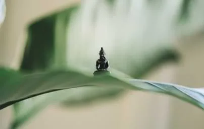 即时互动，与球迷共享激情 - 88看球